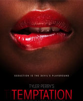 Temptation: Confessions of a Marriage Counselor /  